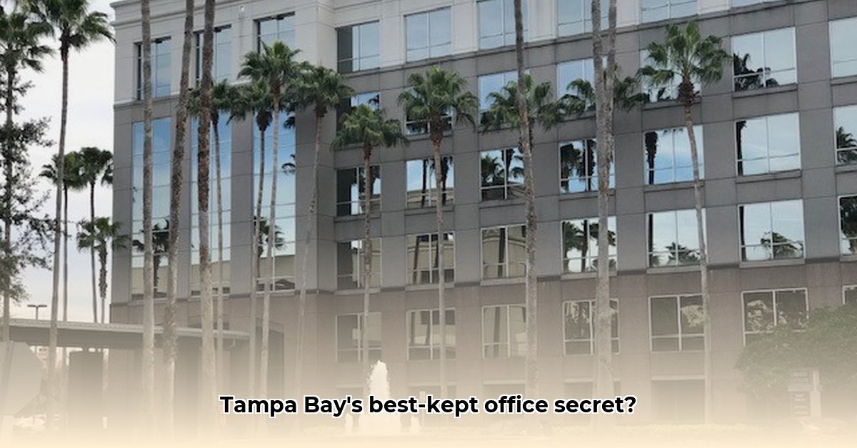2202-n-westshore-blvd-in-tampa